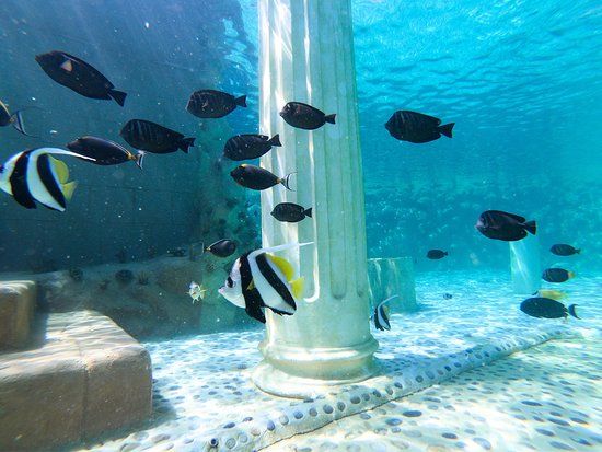 Parc aquatique Sealanya
